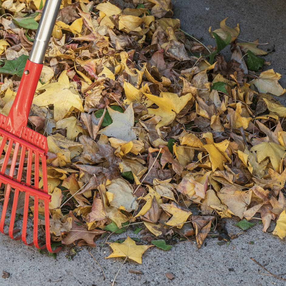 Screenshot 2025-04-30 at 12.13.23 PM